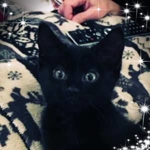 Meet your Posher, Janet